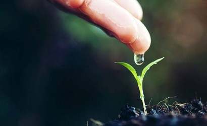 SUSTAINABILITY