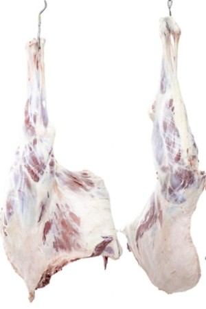 Camel Meat