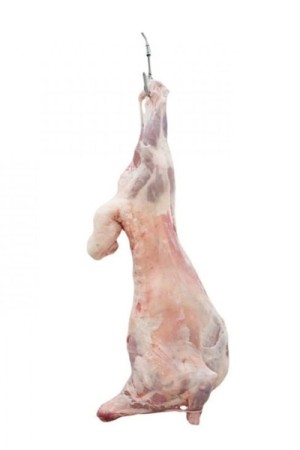 Sheep Meat