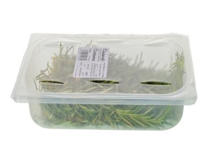 Rosemary