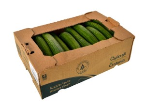 Cucumber 