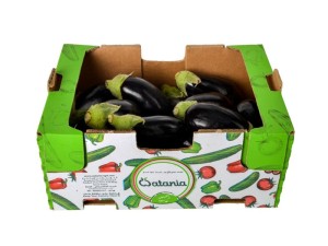 Brinjal