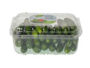 Cucumber
