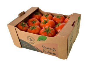 Tomato 
