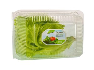 Lettuce